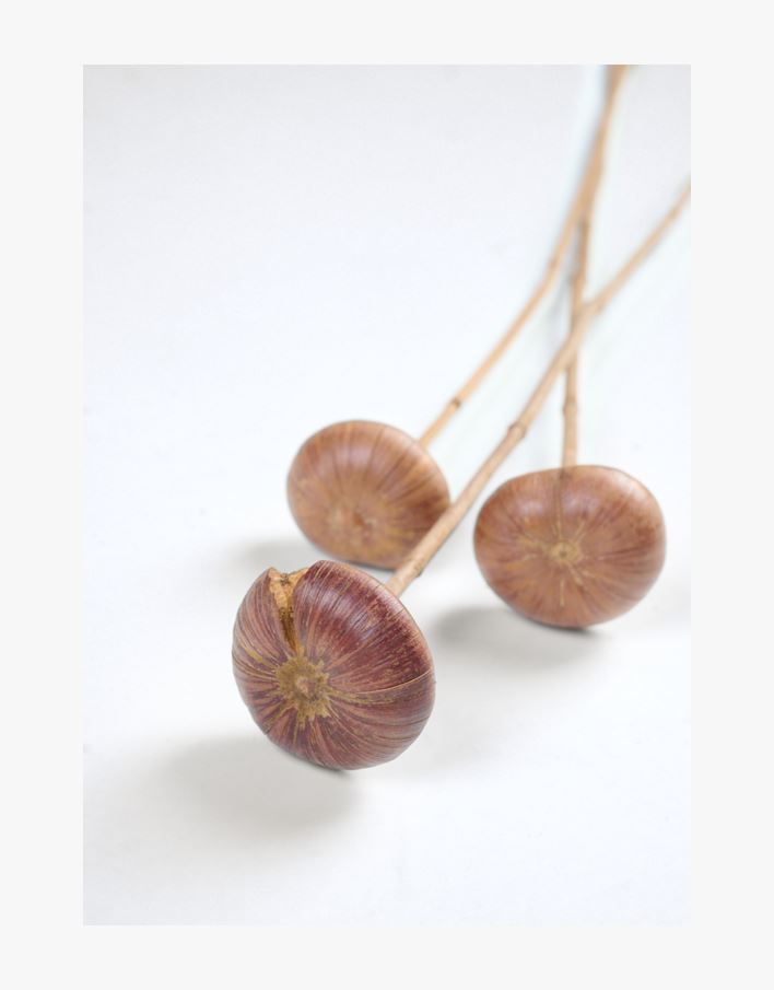 Lilled naturaalne toon - 60 cm naturaalne toon - 1