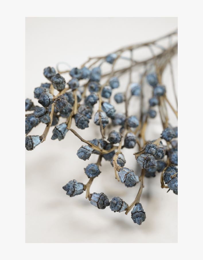 Lillekimp hallikaspruun - 30 cm hallikaspruun - 1