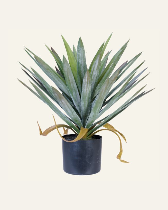 Taim roheline - 41x41x48 cm roheline - 1