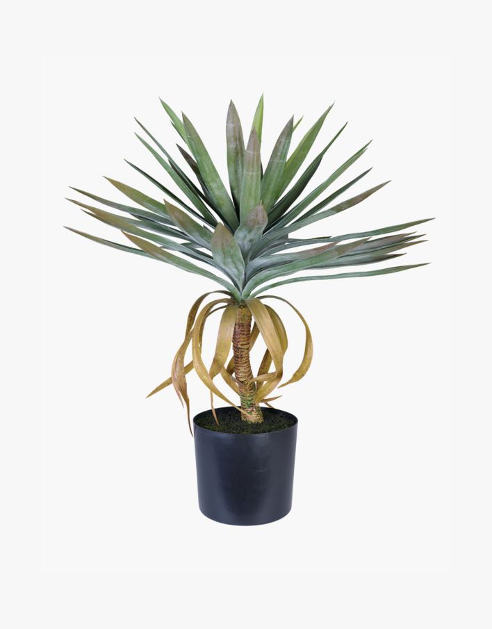 Taim roheline - 47x47x75 cm roheline - 1