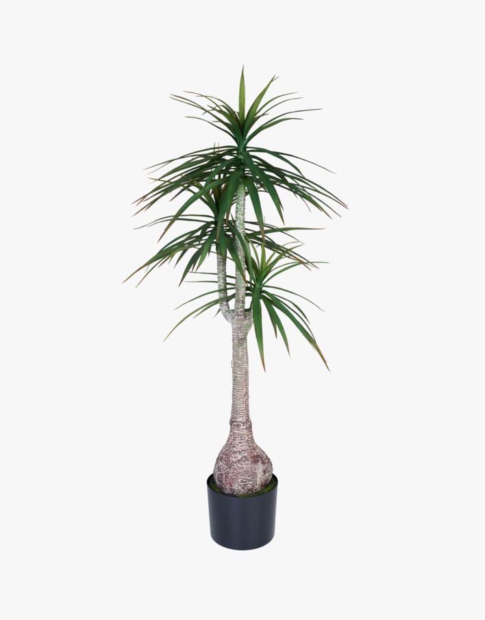 Taim roheline - 60x60x147 cm roheline - 1