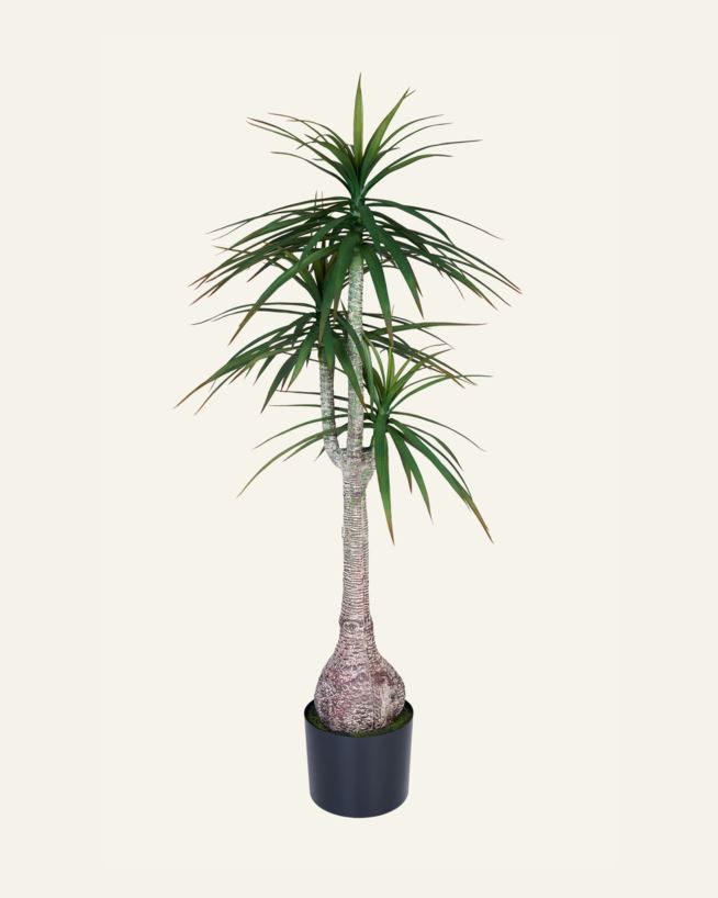 Taim roheline - 60x60x147 cm roheline - 1