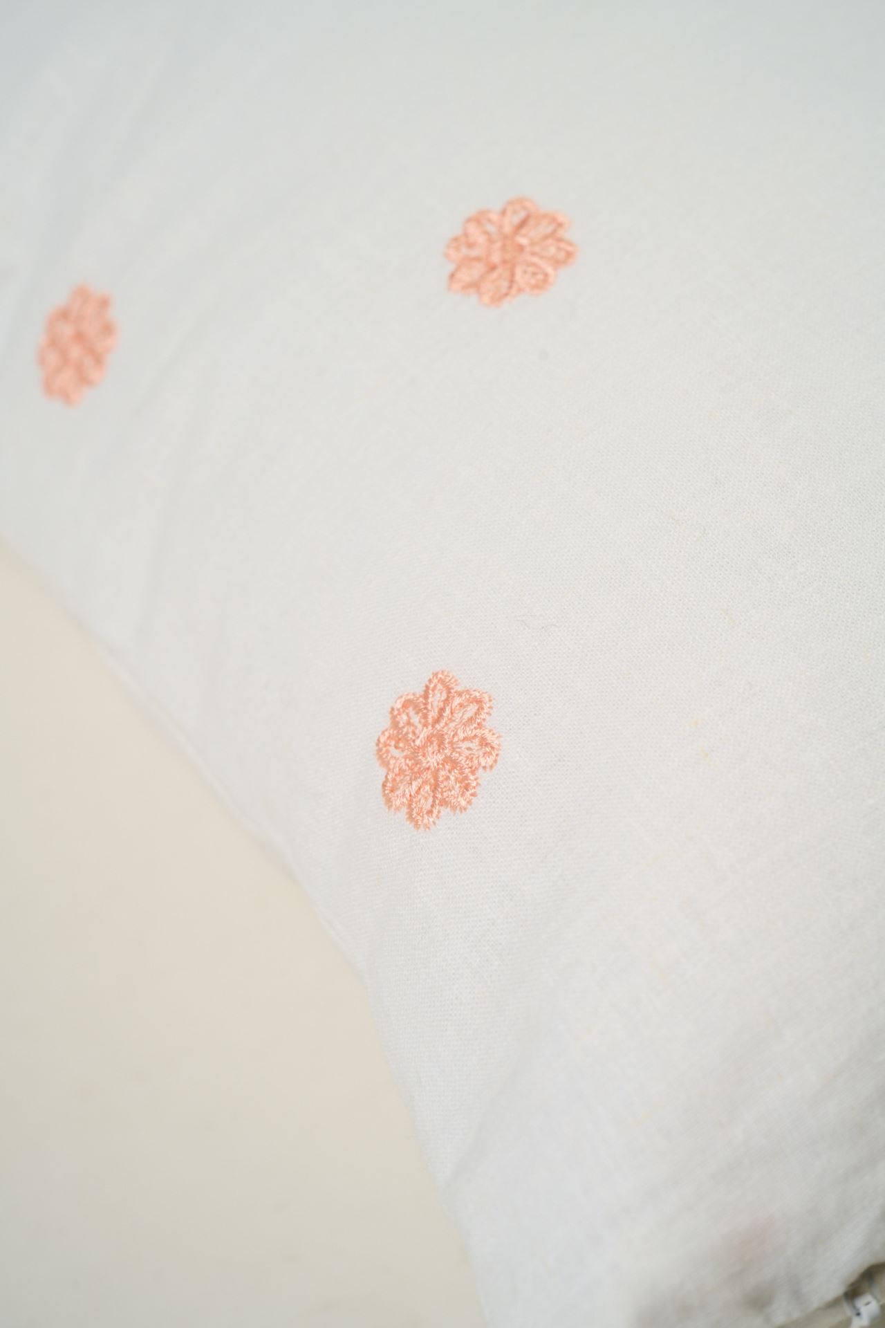 Dekoratiivpadi korall - 2