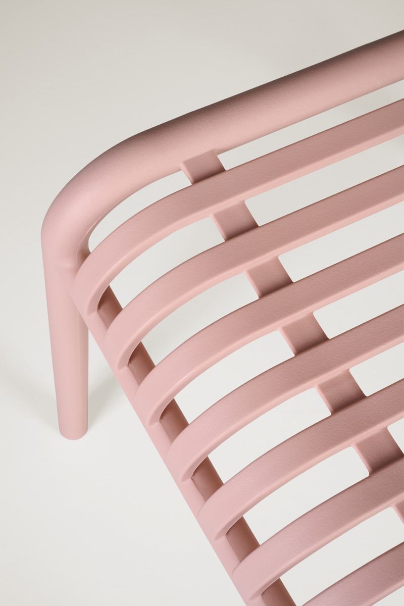 Aiatool heleroosa - 3