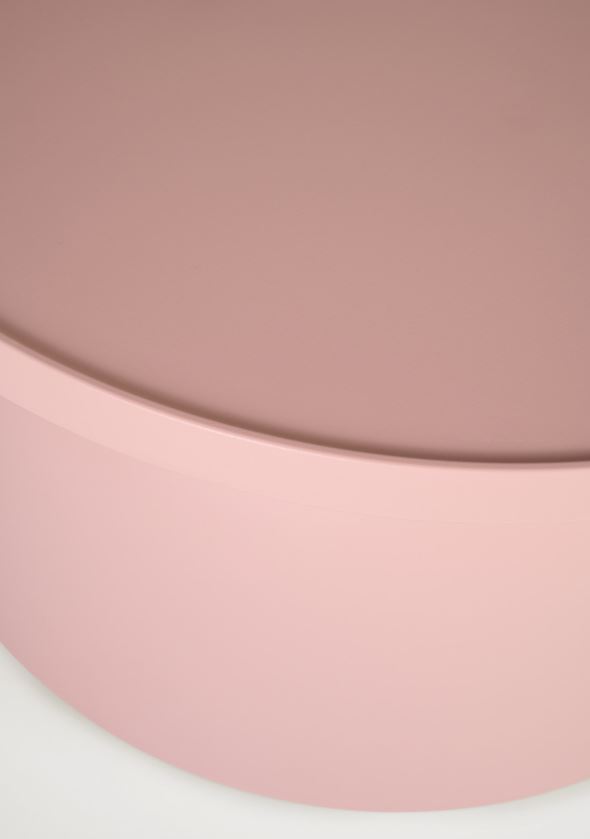 Aialaud heleroosa - 3