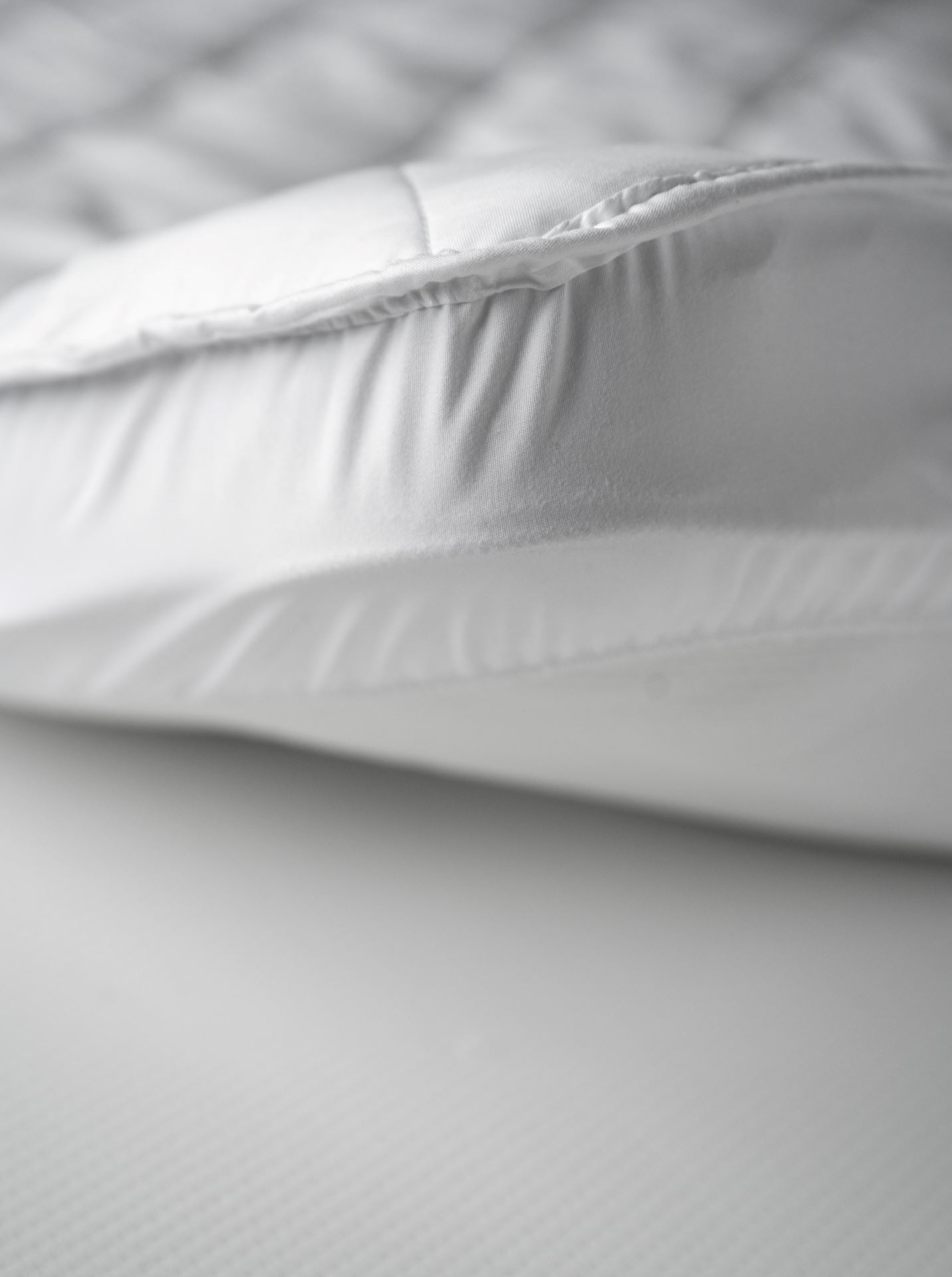 Madratsikate valge - 3