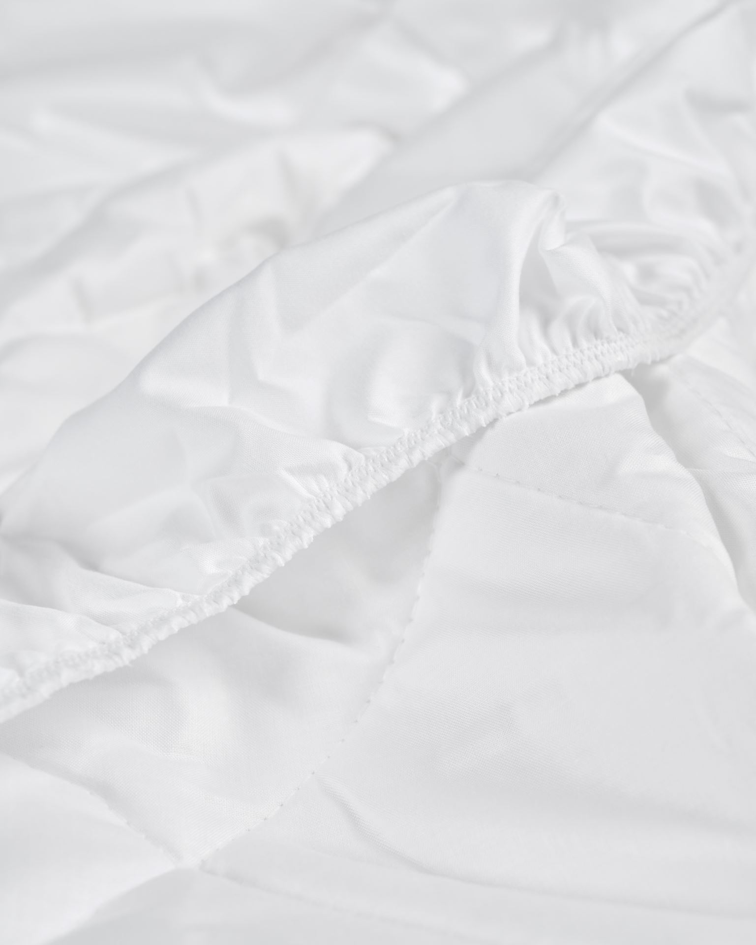 Madratsikate valge - 2