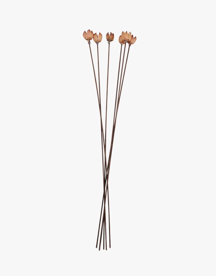 Lilled naturaalne toon - 60 cm naturaalne toon - 1