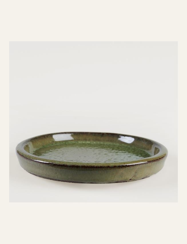 Vaagen heleroheline - 2