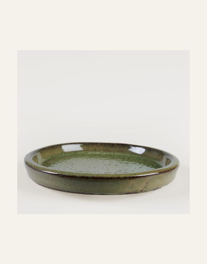 Vaagen heleroheline - 2