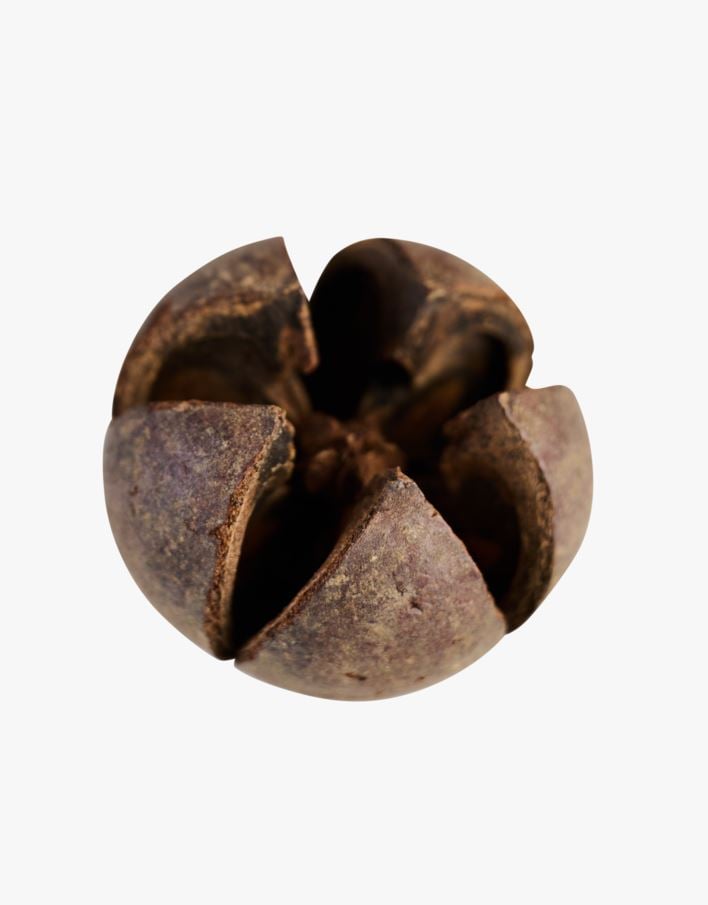 Kaunistus pruun - 12x7x20 cm pruun - 1