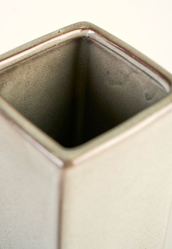 Hambaharjahoidja roheline - 2