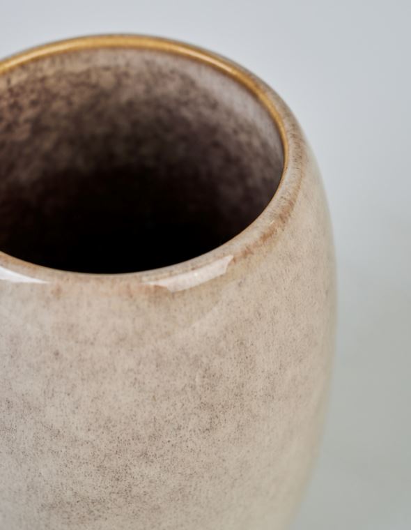 Hambaharjahoidja beež - 3