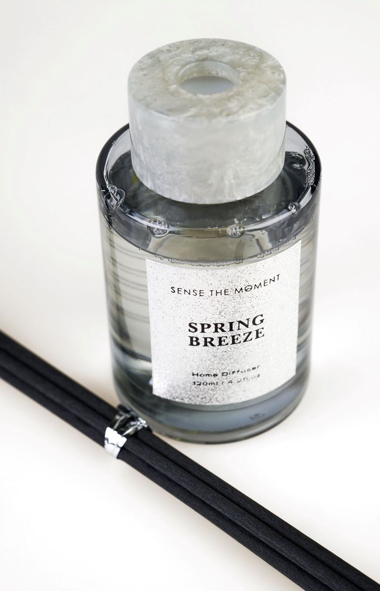 Kodulõhn hõbedane - 2