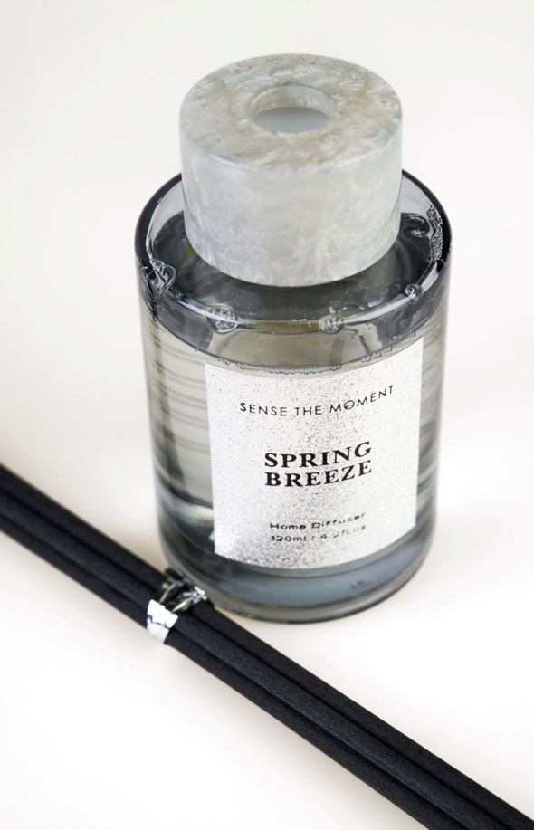 Kodulõhn hõbedane - 2