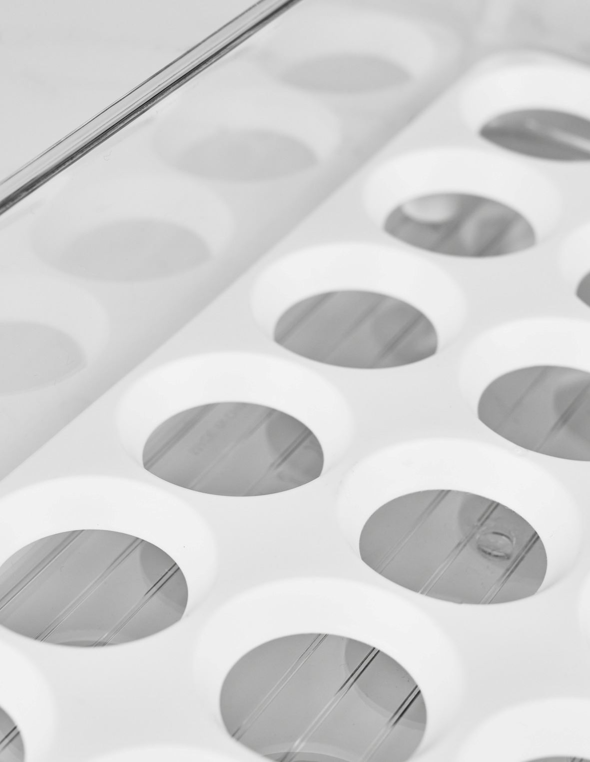 Säilitusnõu loodusvalge - 6