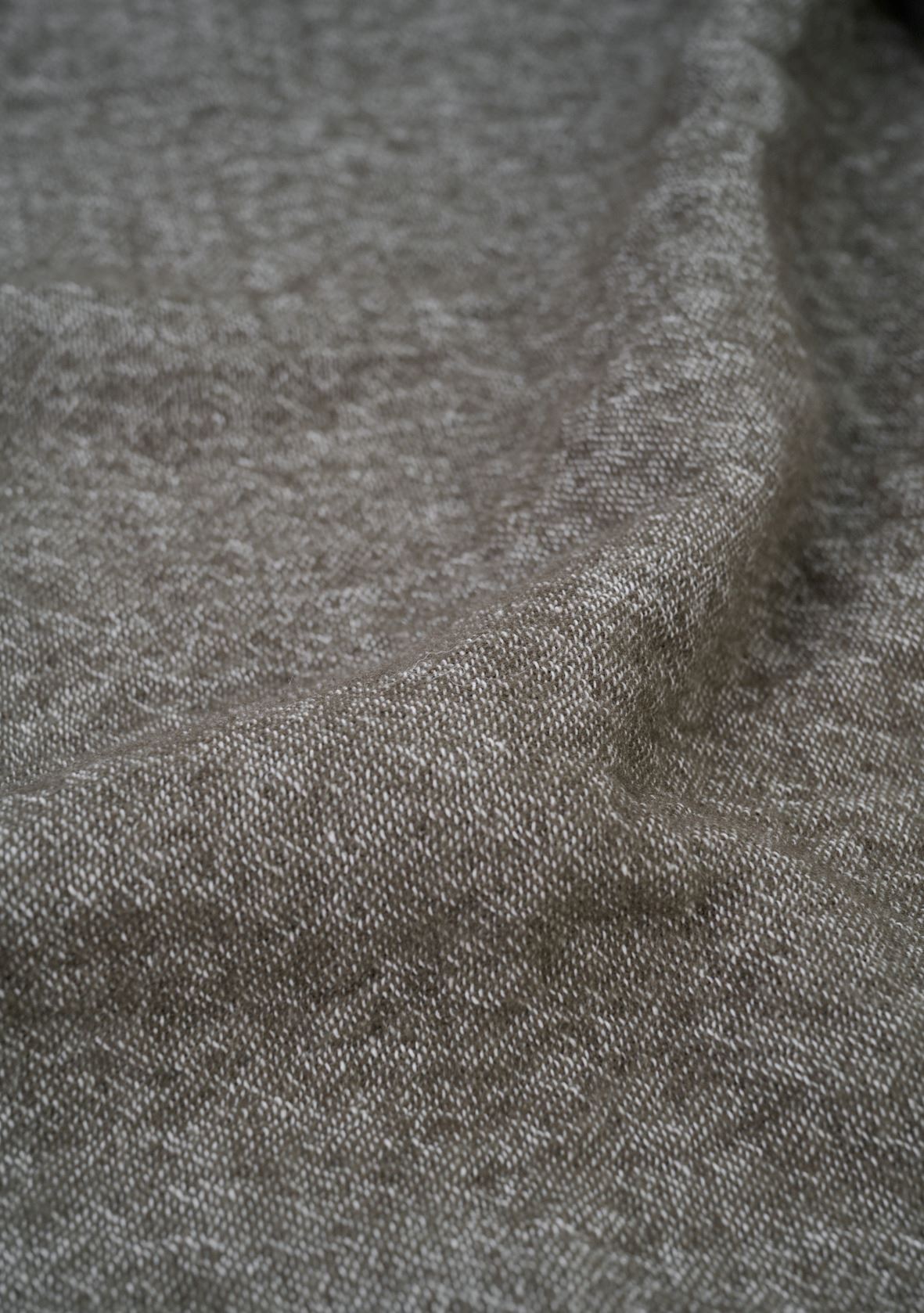 Pleed oliiviroheline - 2