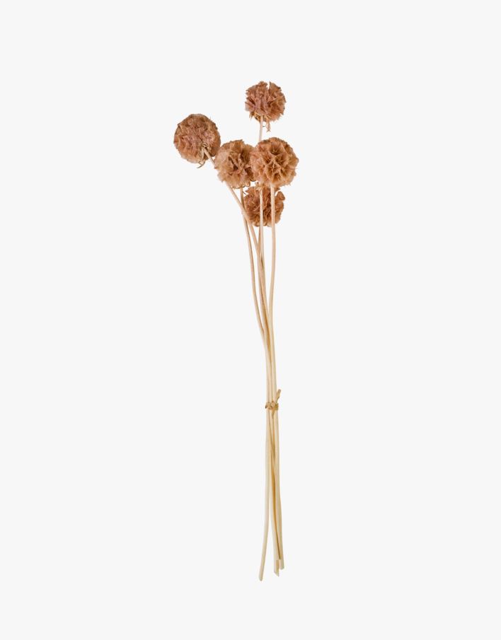 Lilled pruun - 30 cm pruun - 1