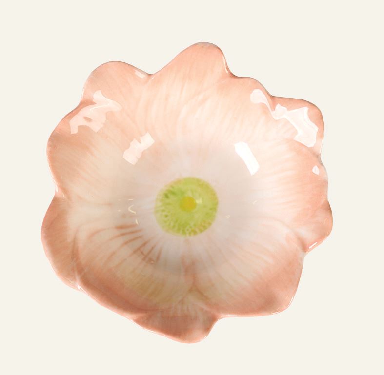 Kauss korall - 9,5x9x3 cm korall - 1