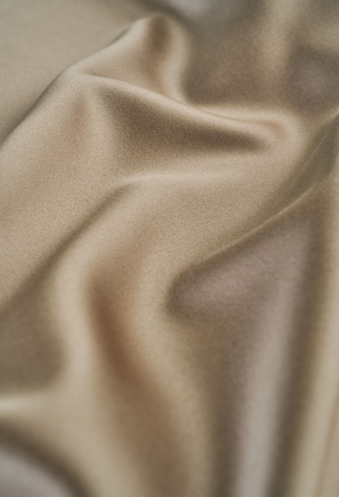 Kardin hallikaspruun - 2