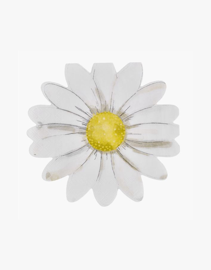 Pabersalvrätikud mitmevärviline/valge - 33x33 cm mitmevärviline/valge - 1