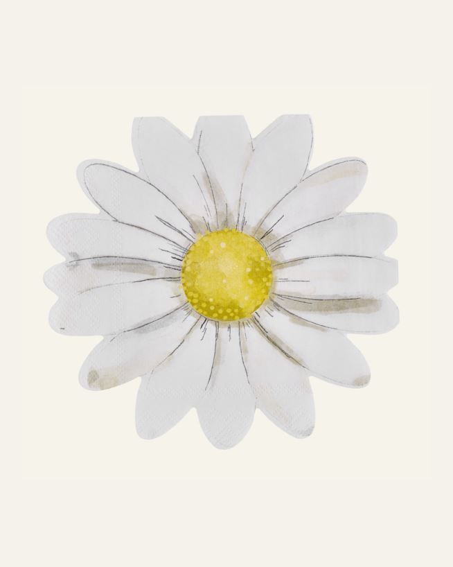 Pabersalvrätikud mitmevärviline/valge - 33x33 cm mitmevärviline/valge - 1