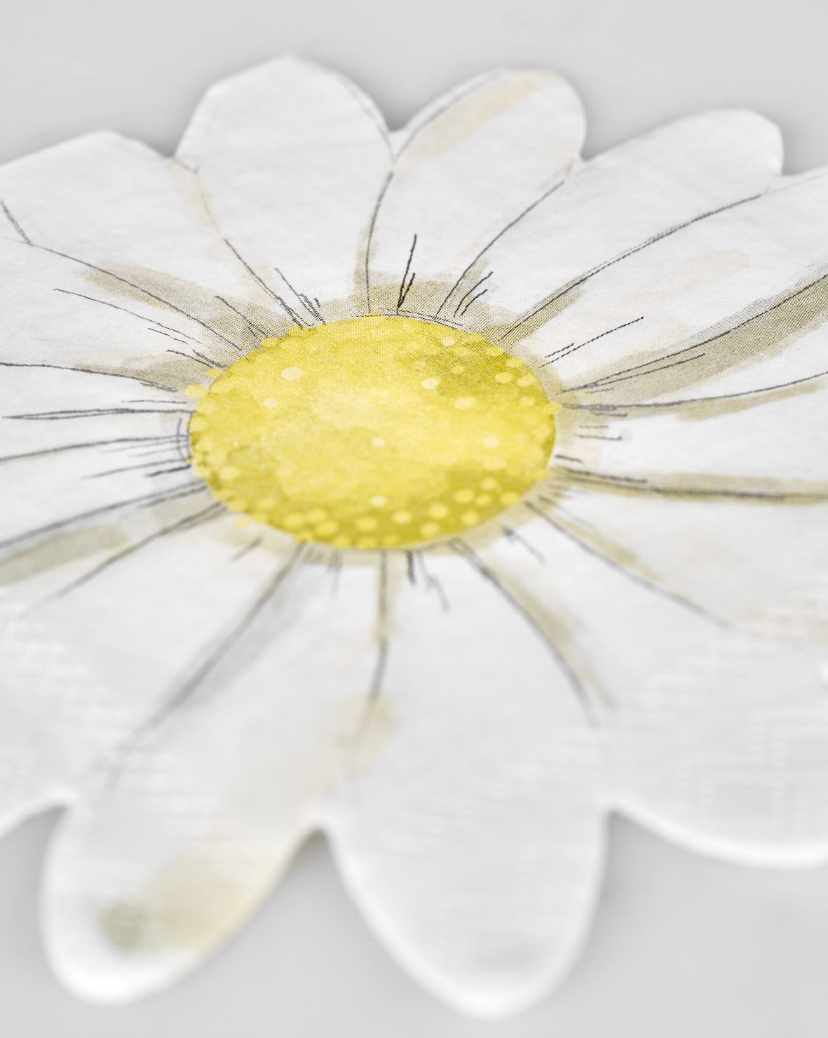 Pabersalvrätikud mitmevärviline/valge - 3