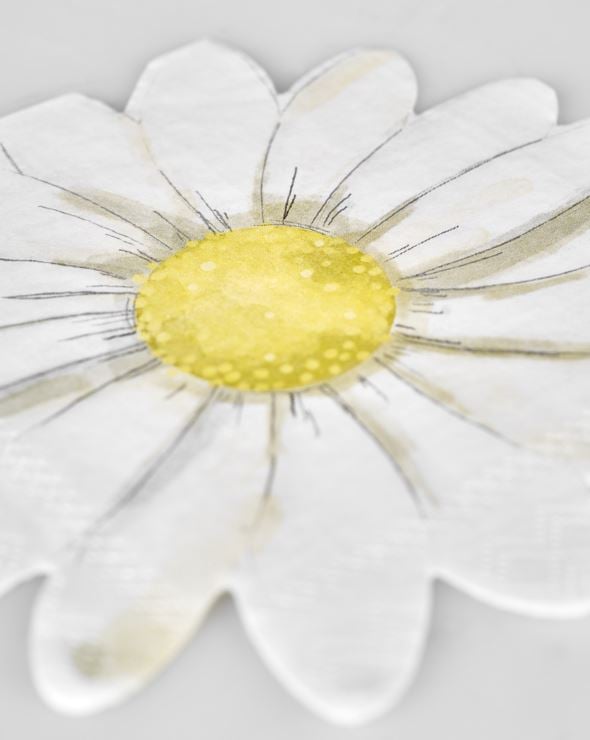 Pabersalvrätikud mitmevärviline/valge - 3