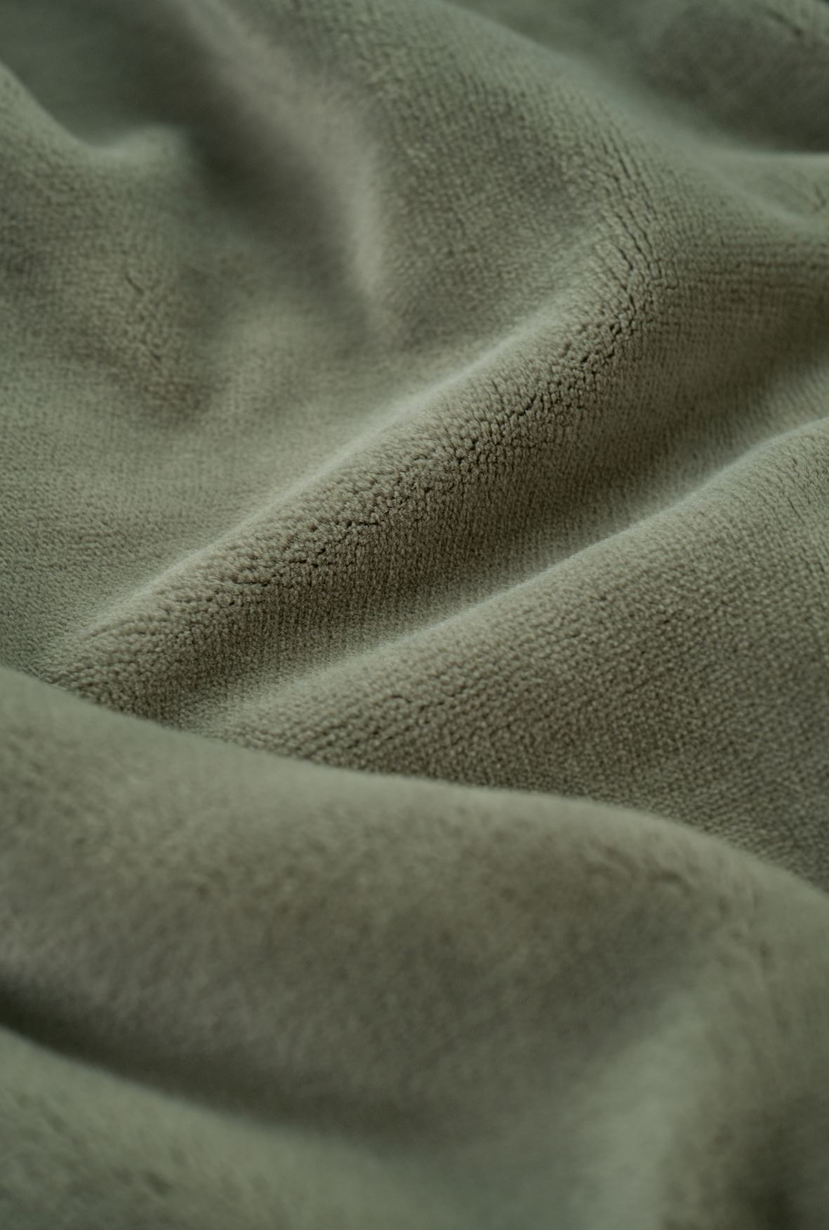 Fliispleed oliiviroheline - 3