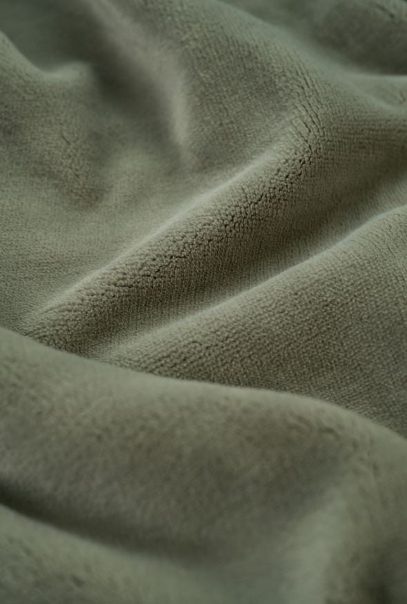 Fliispleed oliiviroheline - 3