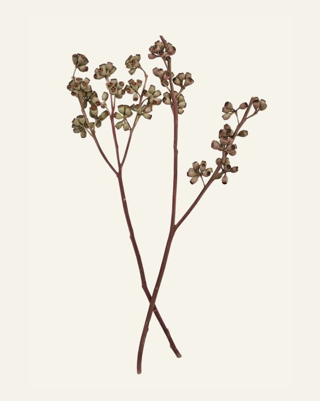 Lillekimp naturaalne toon - 50 cm naturaalne toon - 1