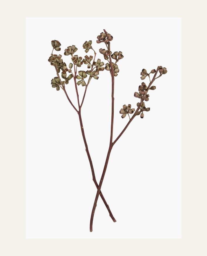 Lillekimp naturaalne toon - 50 cm naturaalne toon - 1