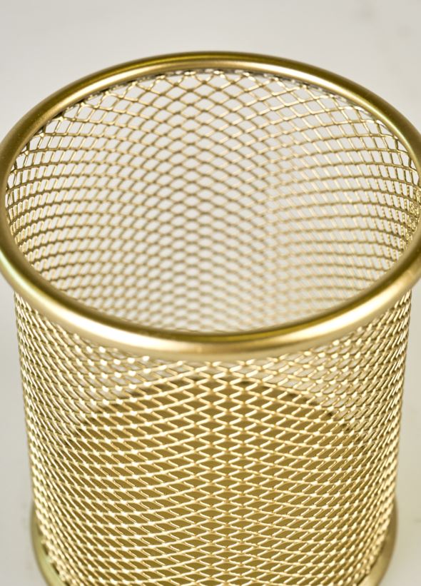 Pliiatsi karp kuldne - 4