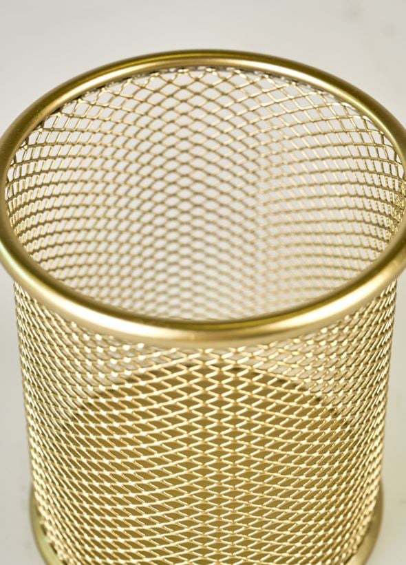 Pliiatsi karp kuldne - 4