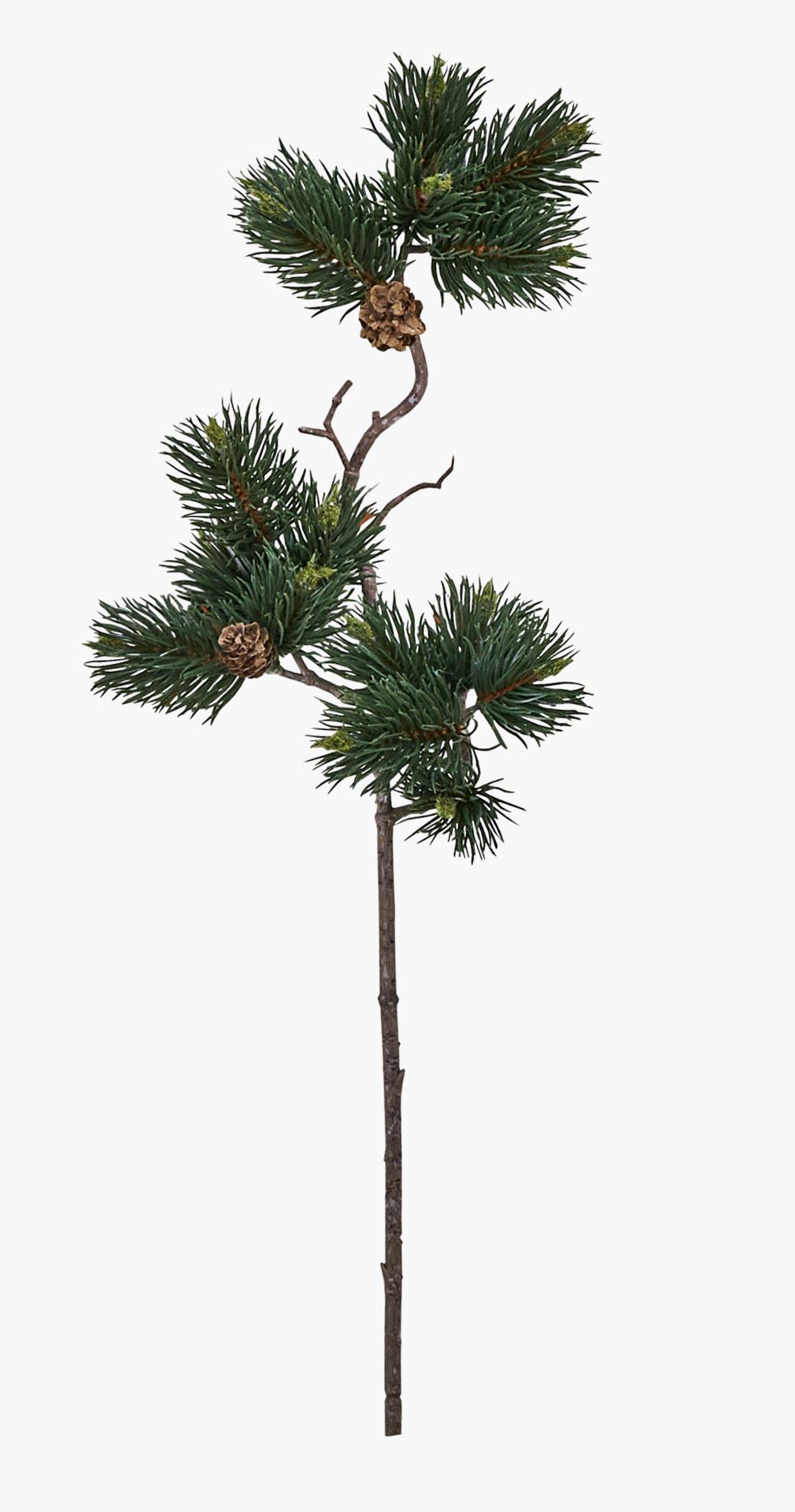 Oks mitmevärviline/roheline - 54 cm mitmevärviline/roheline - 1