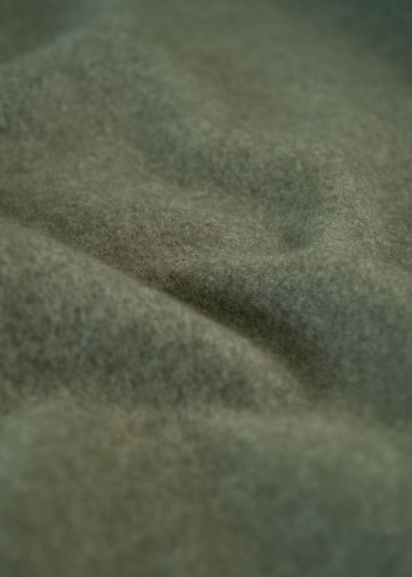 Fliispleed oliiviroheline - 2