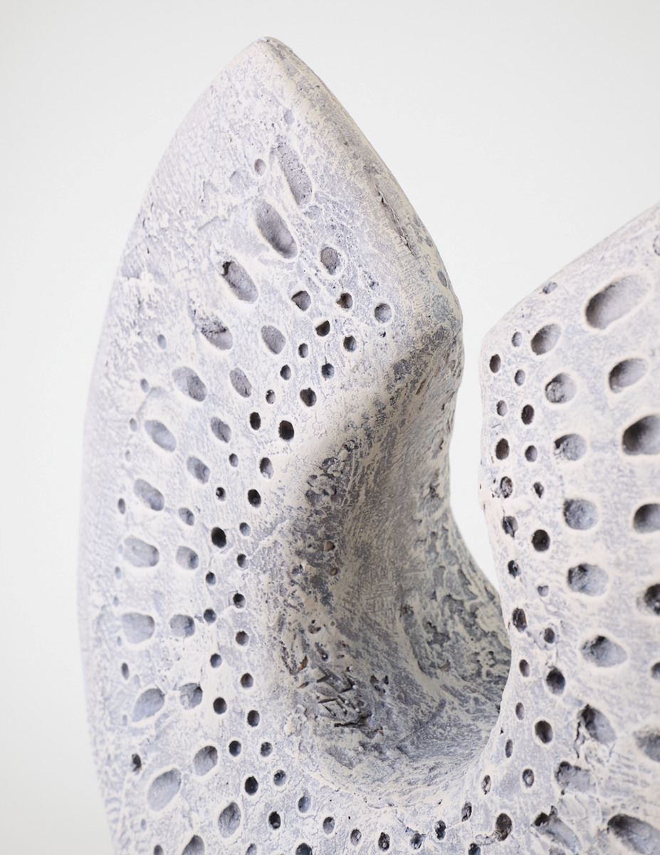 Kaunistus hallikaspruun - 2