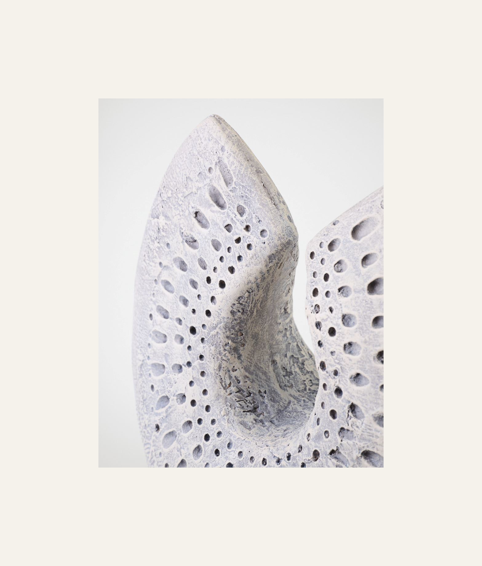 Kaunistus hallikaspruun - 2