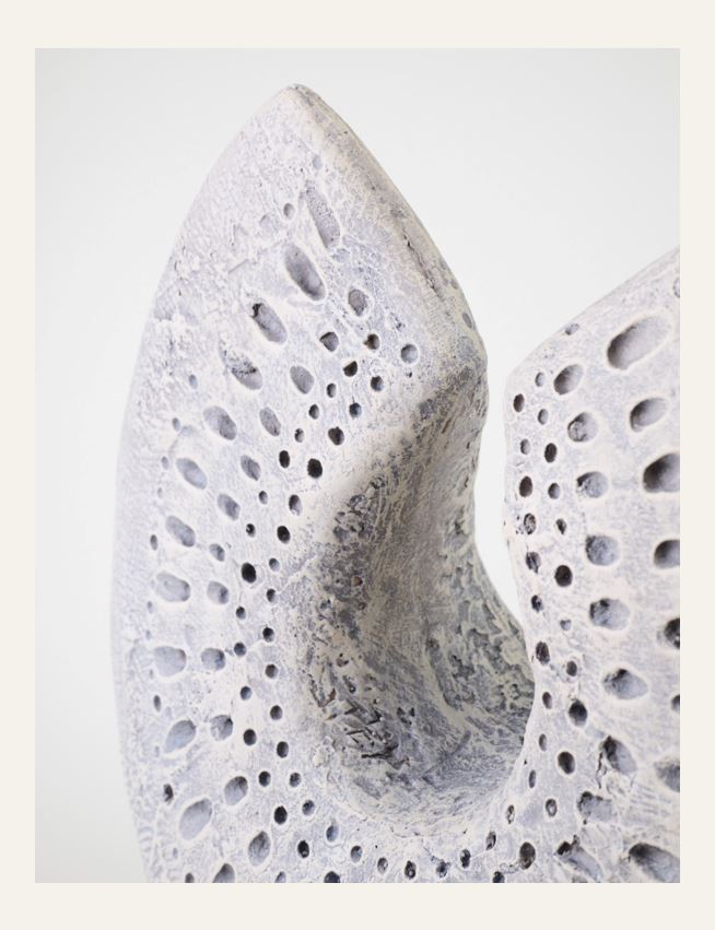 Kaunistus hallikaspruun - 2