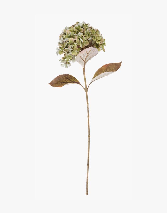 Lill roheline - 28x17x65 cm roheline - 1