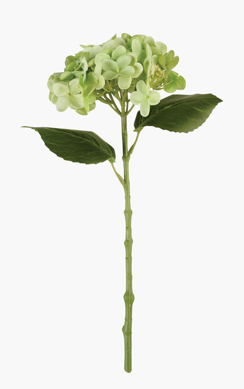 Lill roheline - 23x16x38 cm roheline - 1