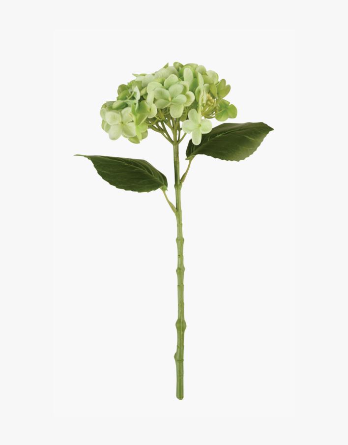 Lill roheline - 23x16x38 cm roheline - 1