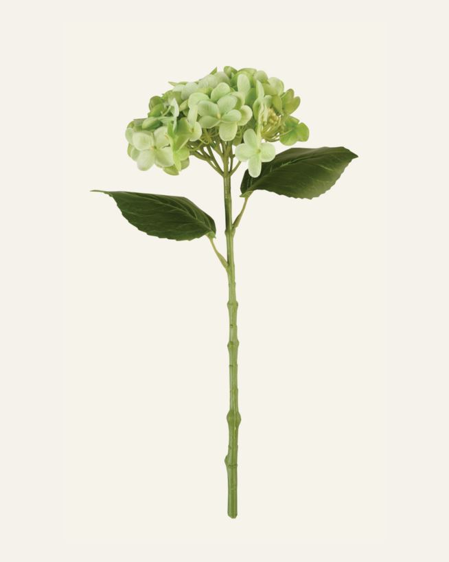 Lill roheline - 23x16x38 cm roheline - 1