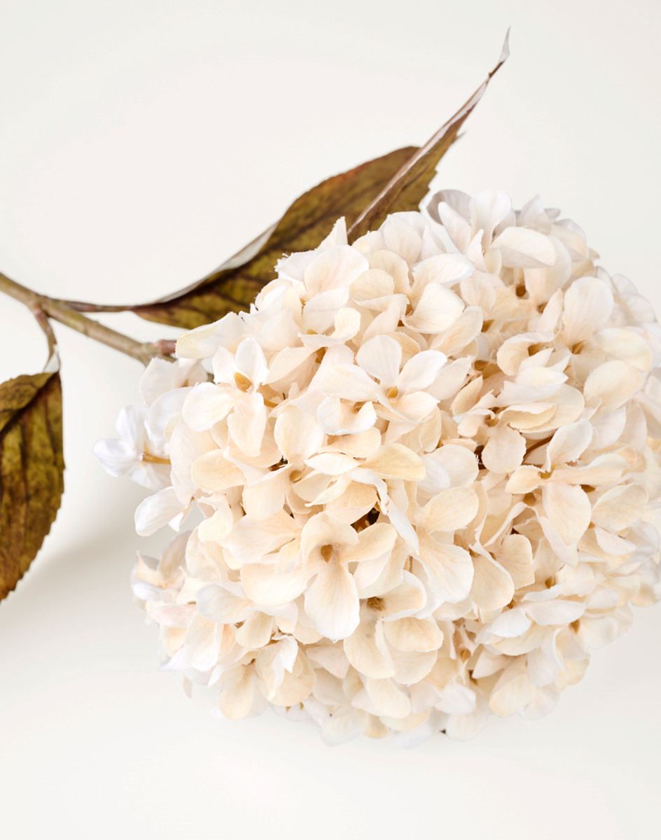 Lill loodusvalge - 3