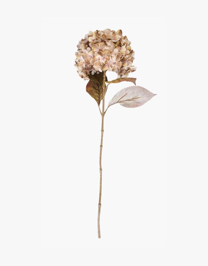 Lill beež - 23x17x38 cm beež - 1