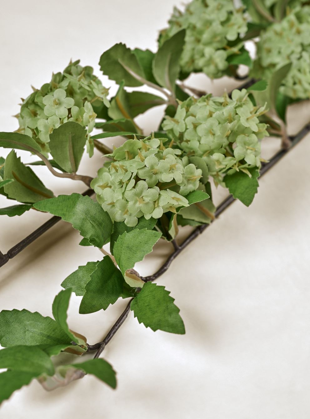 Lill heleroheline - 2