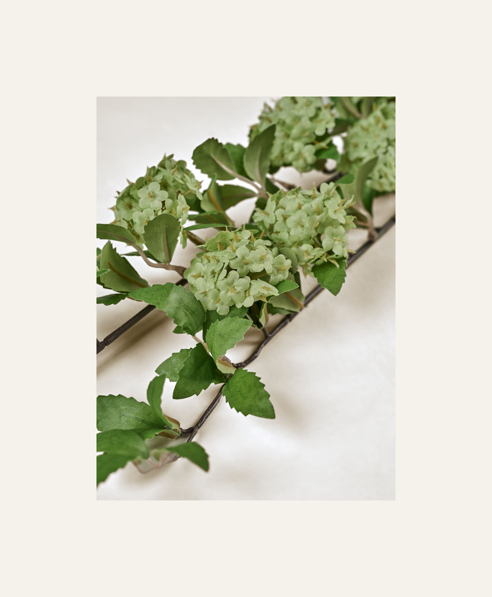 Lill heleroheline - 2