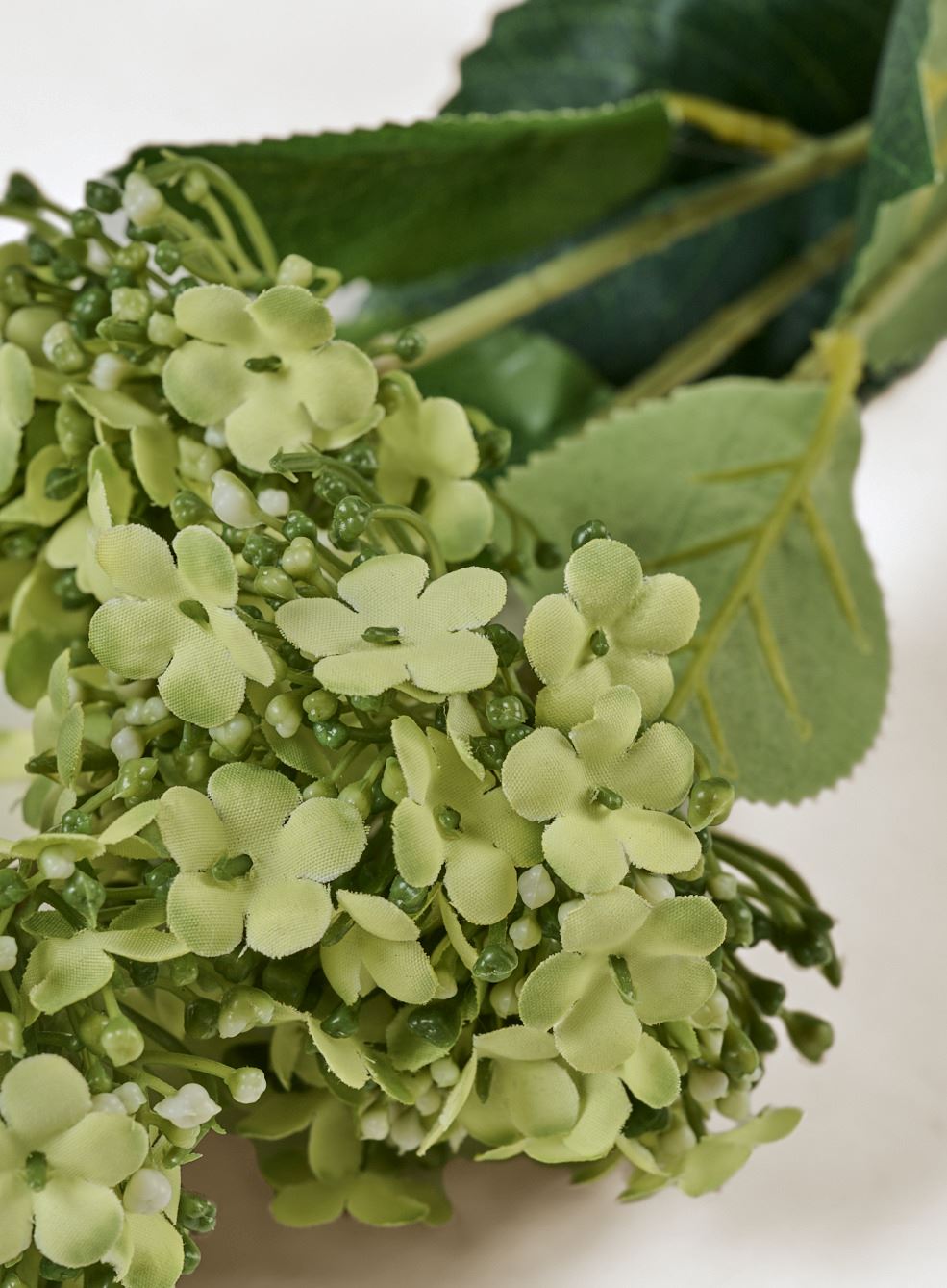 Lill heleroheline - 2