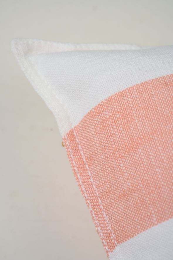 Dekoratiivpadi korall - 3