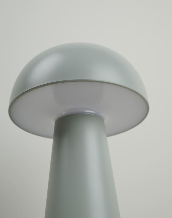 Patareitoitel valgusti merihein - 4